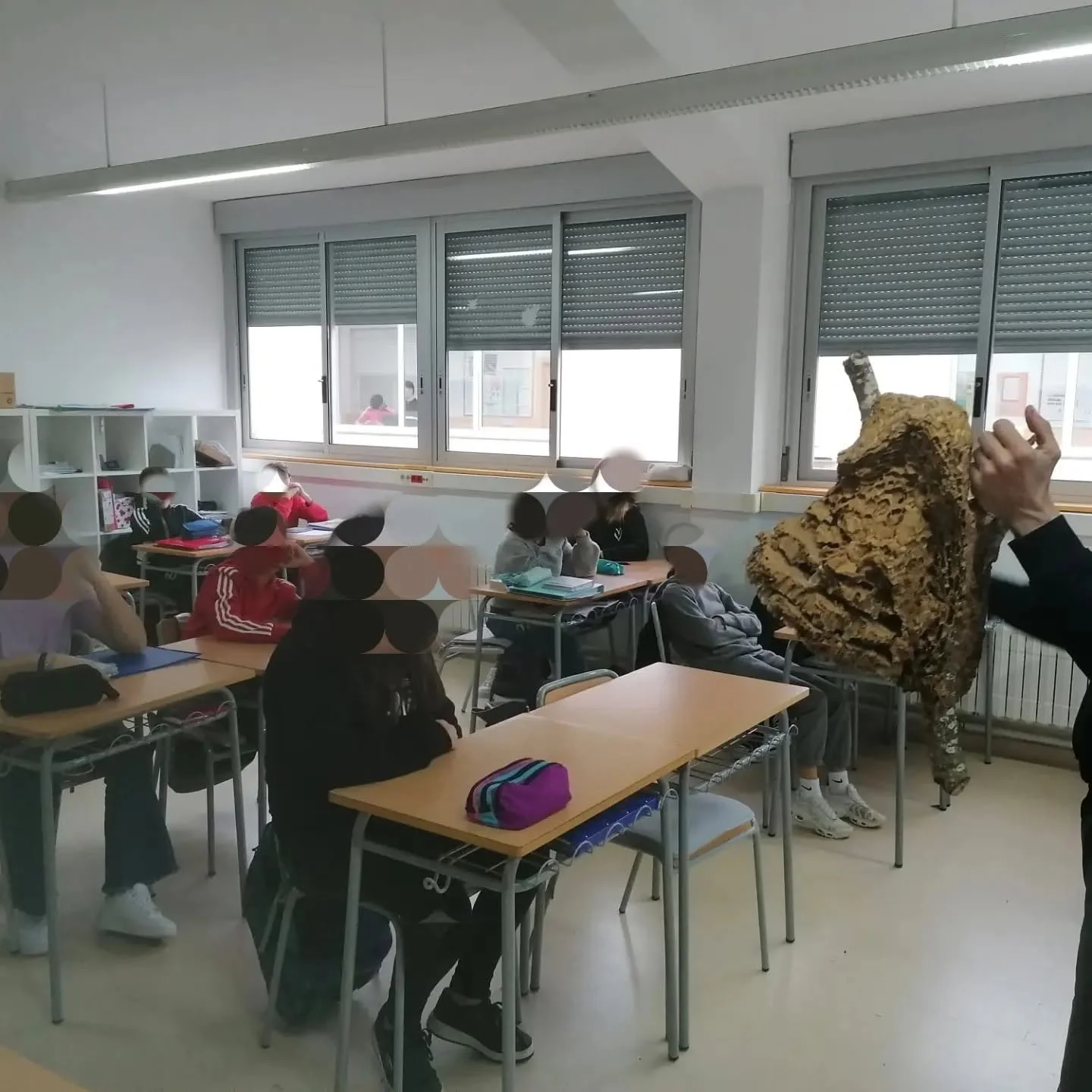 En una aula, un educador mostra un niu a alumnes.